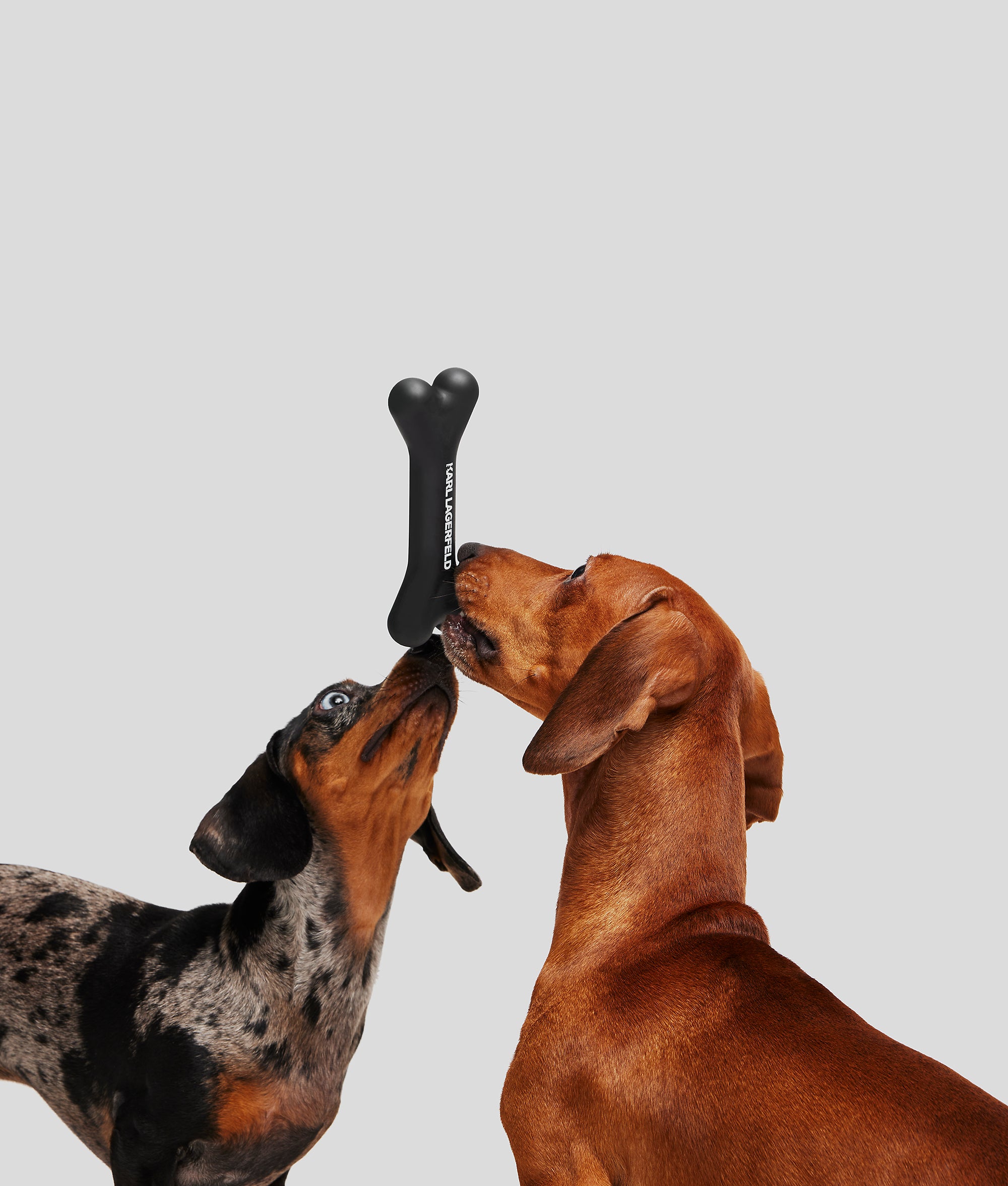 K/PET BONE CHEW TOY - Image 2